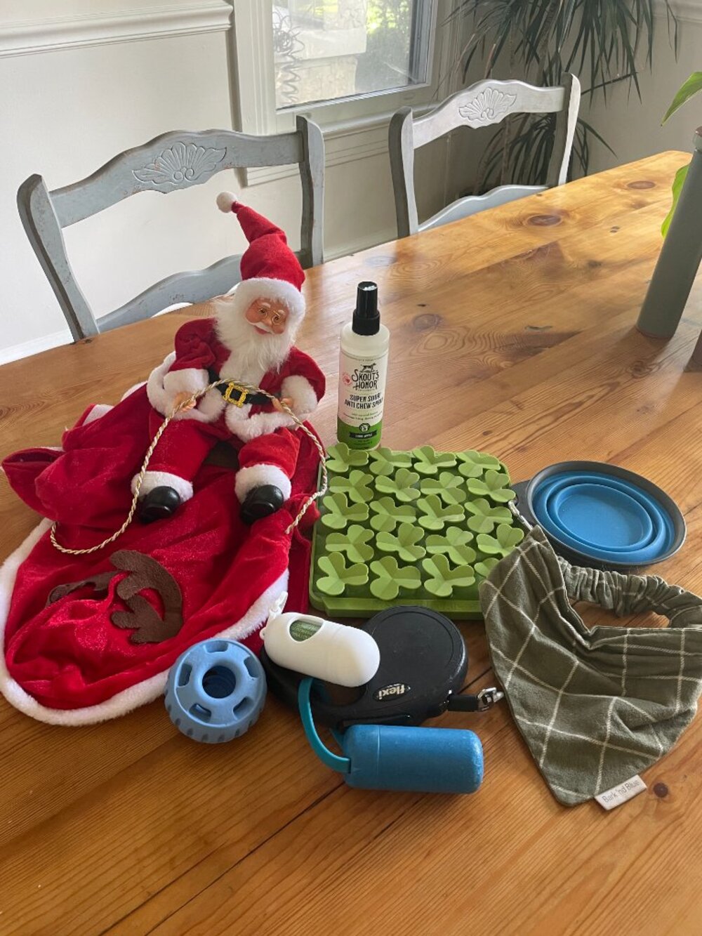 Dog Starter Kit (8 items included)